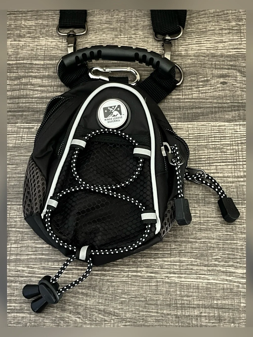 Minor League Baseball Mini Day Pack